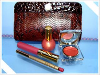 JOAN RIVERS LUXE PINK 4 PIECE COLOR COLLECTION