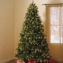 NEW 7 FT. Prelit Artificial Christmas Tree with 550 lights ships FREE