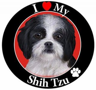 Shih Tzu, puppy cut black and white Car Magnet