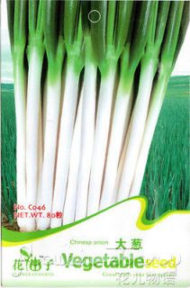 Pack 100+ Vegetables Seeds Big Onion Seed Heirloom Healthy Plant 