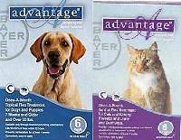 Advantage Flea Control For Cats And Dogs Up To 40 Month Supply Huge 