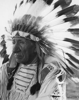 VINTAGE GREAT NATIVE AMERICAN INDIAN CHIEF RED CLOUD PHOTO WESTERN 