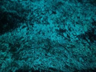 teal fabric in Sewing & Fabric