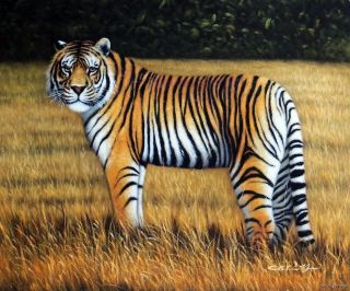 Large Bengal Tiger In Grass Big Cat Endangered Species Oil On Canvas 