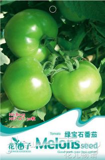 Pack 30+ Vegetables Seed Green Tomato Lycopersicon Esculentum Hot 