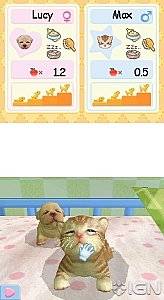 Petz Nursery 2 Nintendo DS, 2010