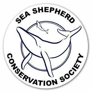 Sea Shepherd Sticker   Original Logo Anti Whaling, Whale Wars, Anti 