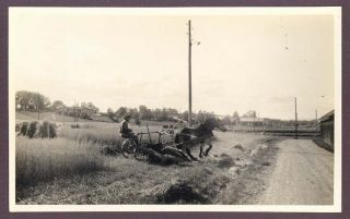 1930 Farmer Haying his Field with Horse Drawn Mower in Mora Sweden