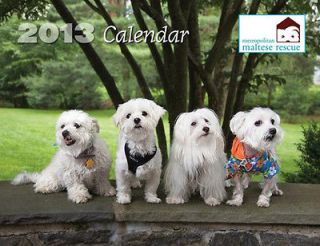 Maltese Rescue Dog 2013 Calendar **