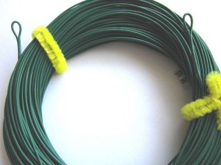 WF 7 S FULL SINK FLY LINE ( type 3 / loops on both ends) LAKE LINE 7wt