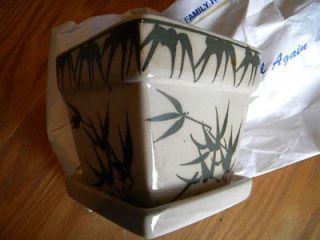 CERAMIC DELRAY PLANTS PLANTER WITH LUCKY BAMBOO DESIGN