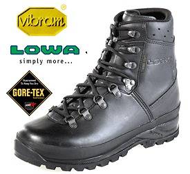 lowa mountain boot gtx