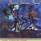 Visions Under the Moon by David Band Nelson (CD, Apr 1999, High 