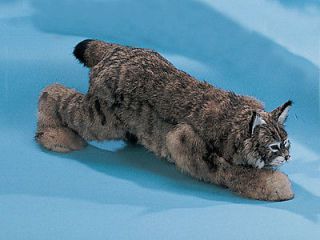 Brown Bob Cat Stalking Realistic Furry Animal Taxidermy Figurine 