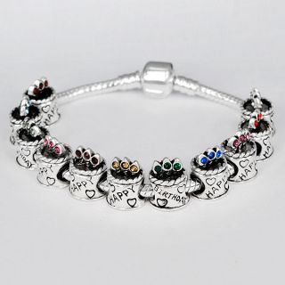 birthstone charm bracelet in Charms & Charm Bracelets