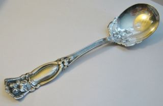1881 Rogers A1 Violet Silverplate Sugar or Berry Spoon ~Antique ~ 1905