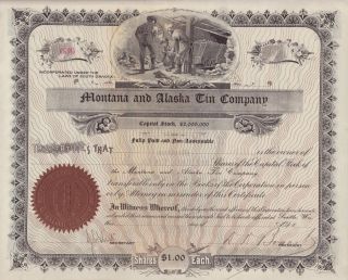 Seattle, Washington Montana and Alaska Tin Company   Mining Stock
