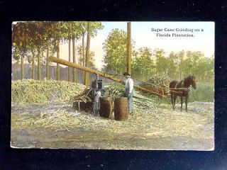 1910 Horse Drawn Sugar Cane Grinding Mill on Plantation in FL post 