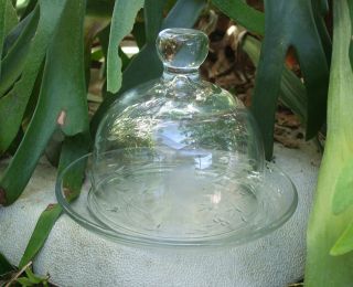   House Etched Crystal Glass Round Heritage Covered Butter Cheese Dish