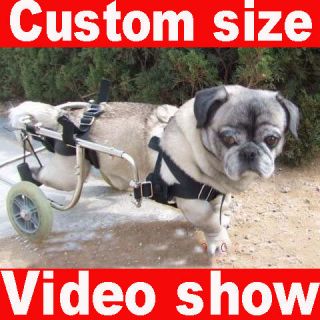 large dog wheelchair in Health Care