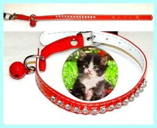 Christmas Cat Collar RED + bell, decorated with 14 Rhinestone Diamonds 