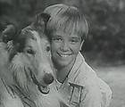   Episode The Tree House on DVD 1956 Jan Clayton Classic Family TV