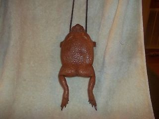 Real Frog Coin Purse animal leather parts