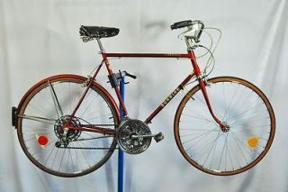 Vintage Schwinn Suburban Chesnut 24 Bike Bicycle 10 speed Shimano Dia 