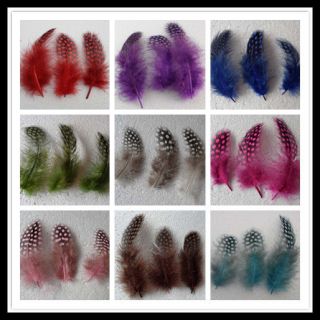   Pretty Guinea hen feather fringe 2 4 9Colors 1 For Craft Supplies