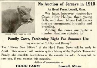 1910 LOWELL, MASS. AD FOR HOOD FARM JERSEY CATTLE SALE