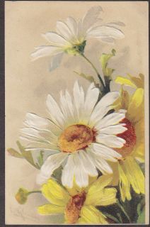 X2454 Daisy Flower postcard, Catherine Klein, #118, Embossed