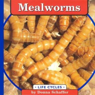 Mealworms Life Cycles by Donna Schaffer 1999, Hardcover