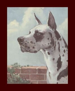 1951 Wesley Dennis art Marguerite Henry Album of Horses book release 
