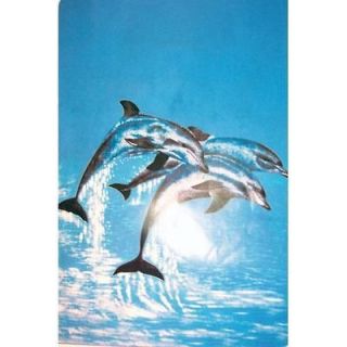 DOLPHIN QUEEN MINK BLANKET NEW SO​FT & PLUSH 79 X 94
