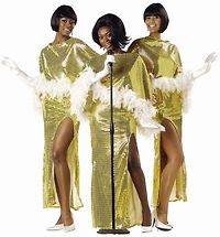 Womens Motown Diva Halloween Holiday Costume Party (Size Small 6 8)