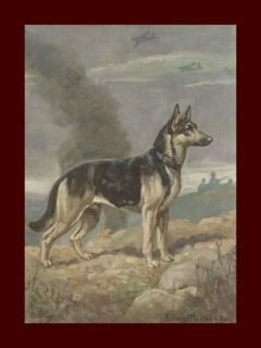   Dog on Battlefield by Edwin Megargee, Fine Print, vintage 1953