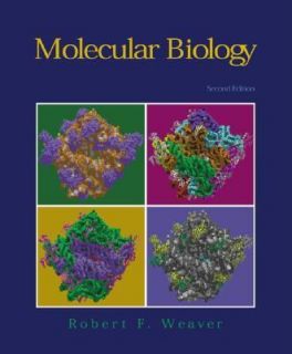 Molecular Biology by Robert F. Weaver 2001, Hardcover