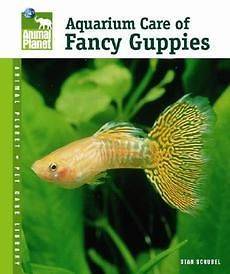 Aquarium Care of Fancy Guppies NEW by Stan Shubel