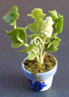   Green Plant + Pot Doll House Miniature Flower Garden Accessory G7