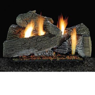 ventless gas fireplace in Fireplaces