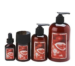 WEN by ChazDean Cleanse, Treat and Style 4 pc. Ultimate Fig Collection 