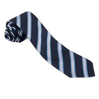 Buy Gunnersbury Catholic School Boys Pole House Tie, Sky blue online 