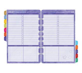 Day Timer 2013 Flavia 1 Page Per Day Planner Refill, Desk, 8 1/2 x 5 