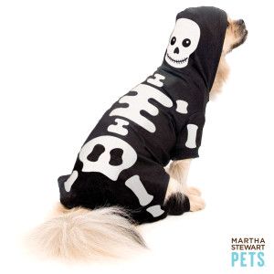 Martha Stewart Pets™ Black Halloween Skeleton Costume   Martha 