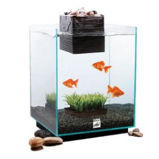 Hagen Fluval Chi Aquarium   Home Aquarium and Desktop Fish Tank from 