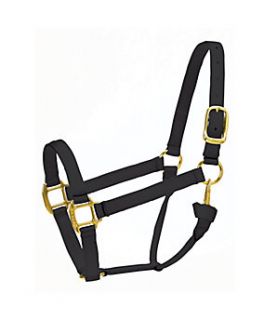 Premium Horse Halter with Side Snap, Foal, Black   2500268  Tractor 