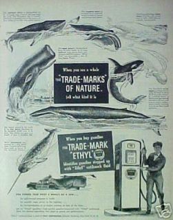 Ethyl Gas Pump Blue~Killer~Sp​erm~White Whale ~1949~ AD