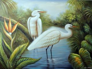 Great White Egret Heron Swamp Everglades X L Stretched Oil Painting 