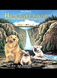 Homeward Bound The Incredible Journey DVD, 1997