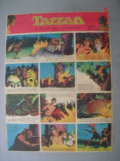 Tarzan Sunday Page by Hal Foster from 4/21/1935 Tabloid Size
